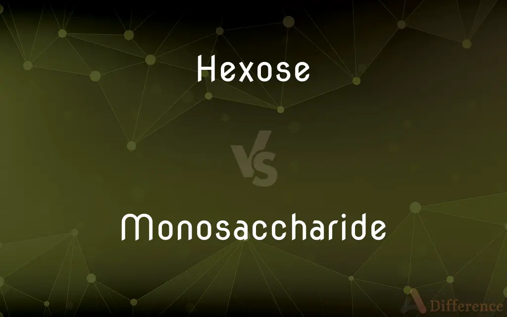 Hexose vs. Monosaccharide — What's the Difference?