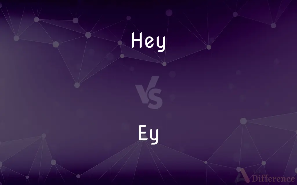 Hey vs. Ey — What's the Difference?