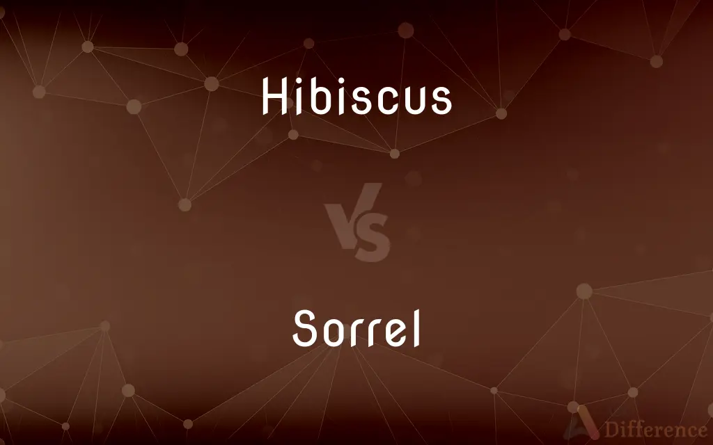 Hibiscus vs. Sorrel — What's the Difference?