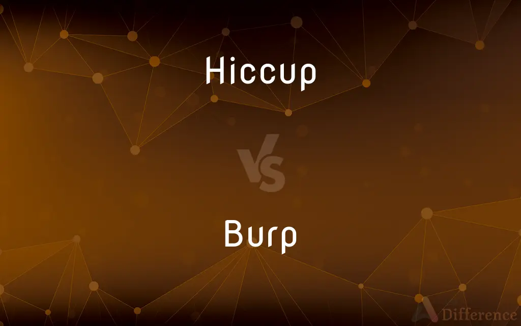 Hiccup vs. Burp — What's the Difference?
