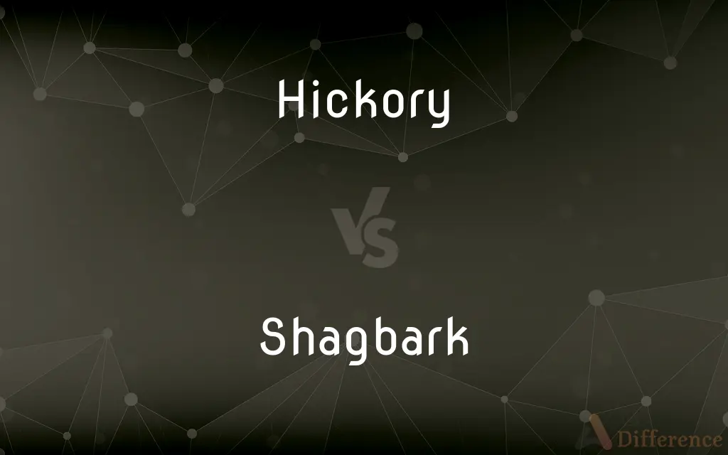 Hickory vs. Shagbark — What's the Difference?