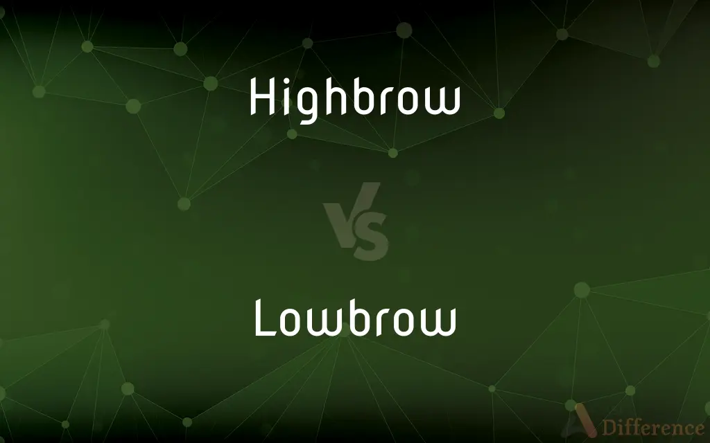 Highbrow vs. Lowbrow — What's the Difference?