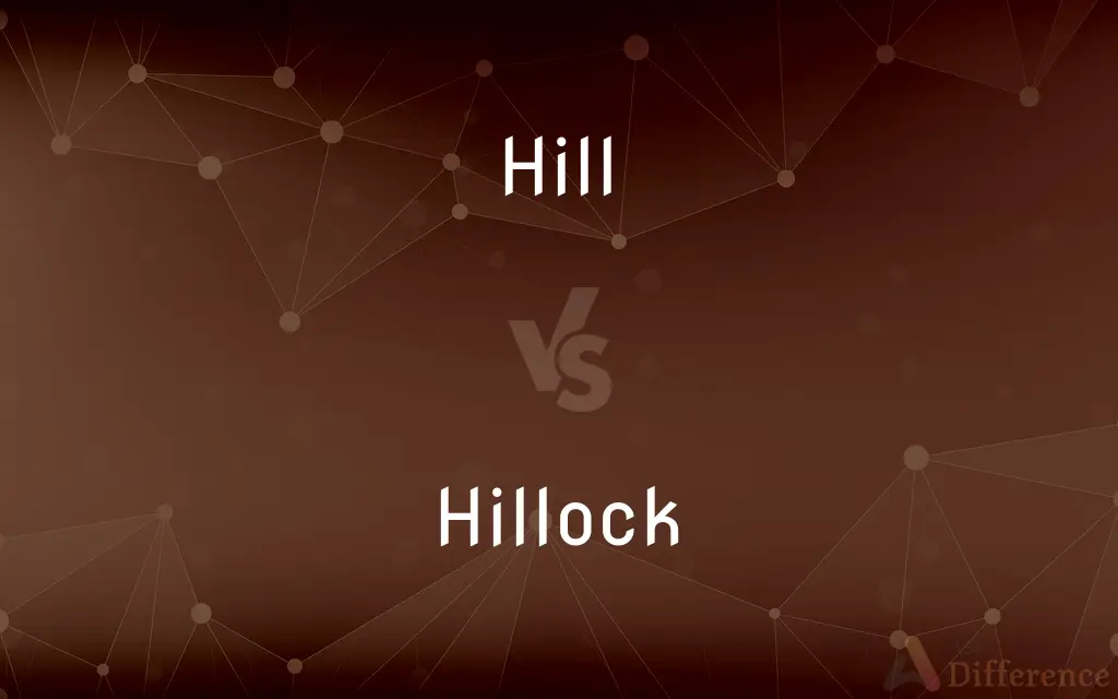 Hill vs. Hillock — What's the Difference?