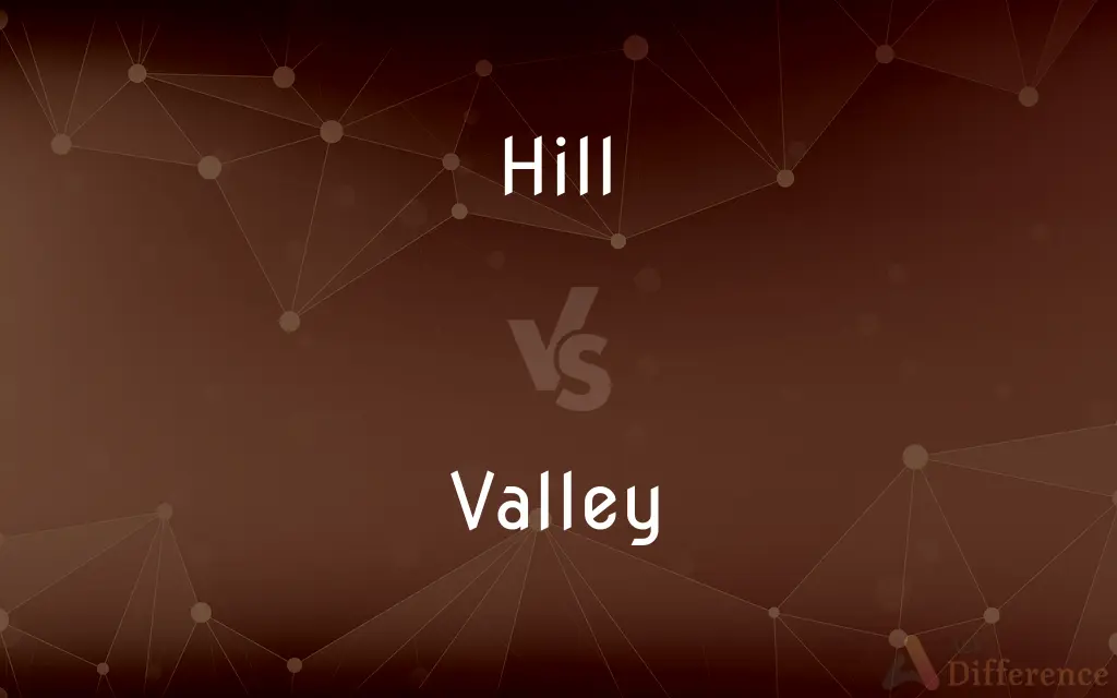 Hill vs. Valley — What's the Difference?