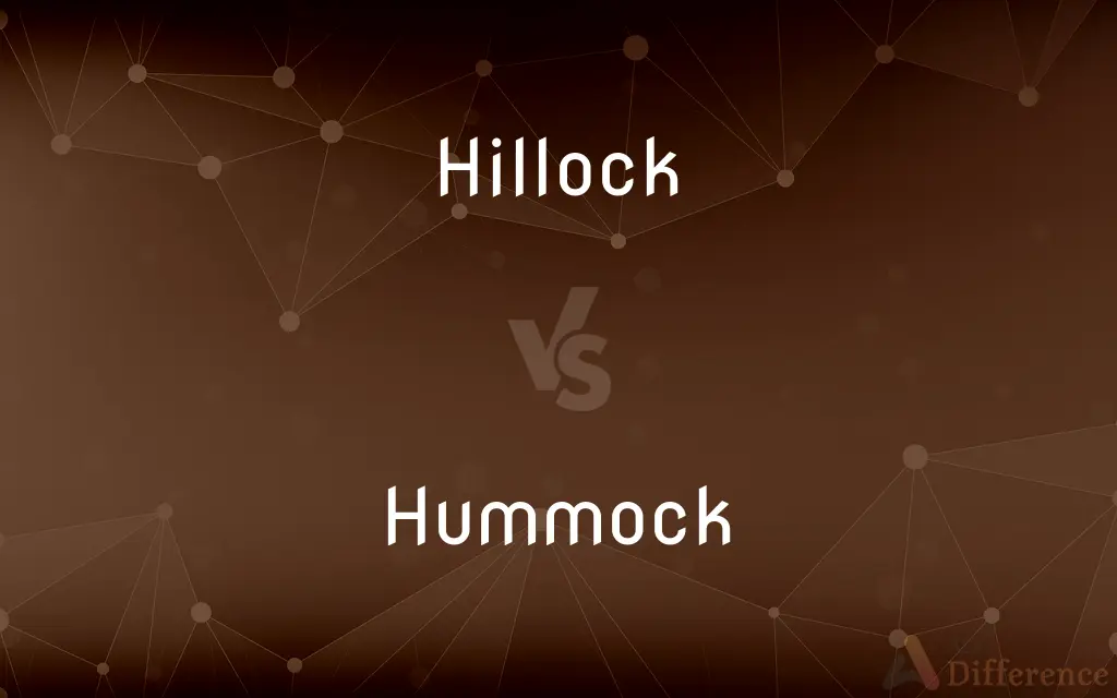 Hillock vs. Hummock — What's the Difference?
