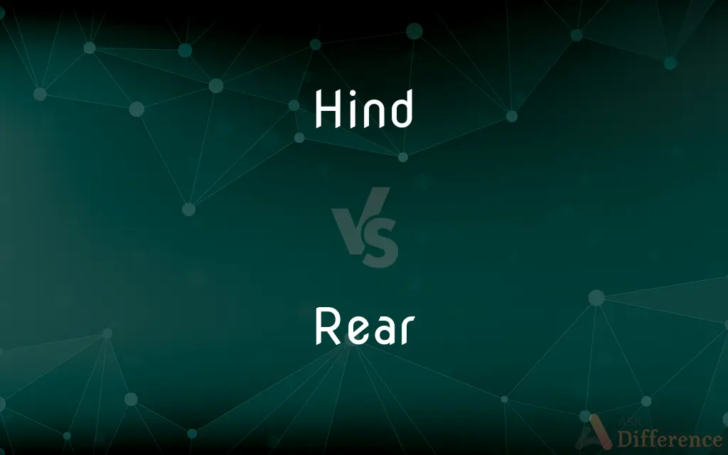 Hind vs. Rear — What's the Difference?