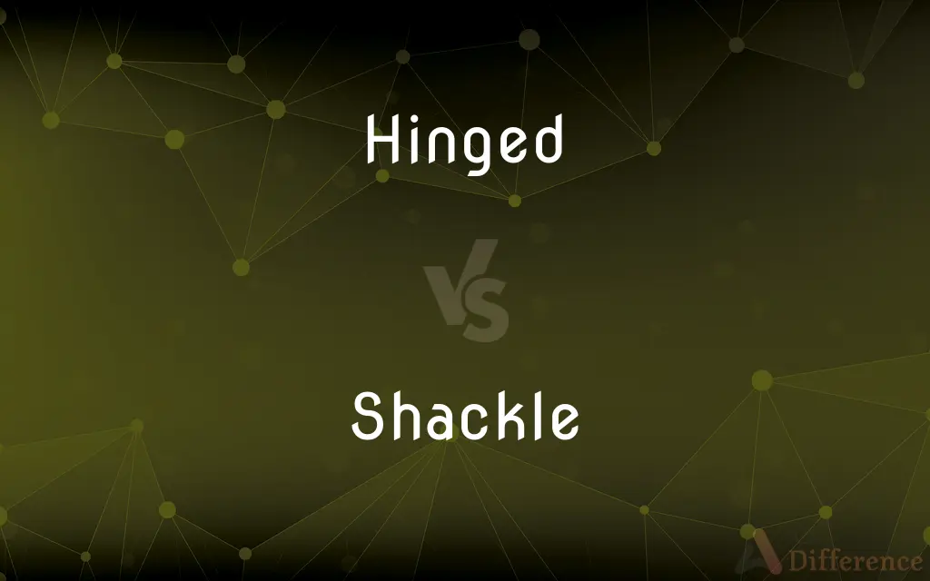 Hinged vs. Shackle — What's the Difference?