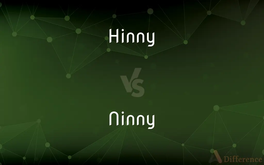 Hinny vs. Ninny — What's the Difference?