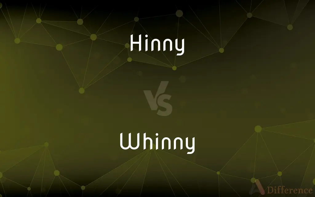 Hinny vs. Whinny — What's the Difference?