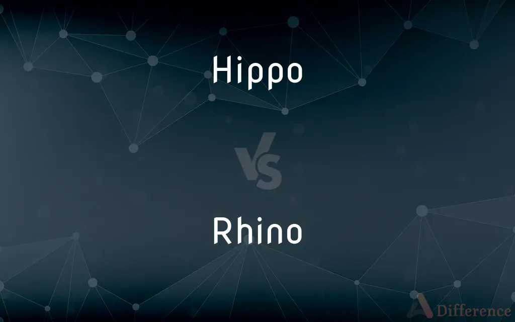 Hippo vs. Rhino — What's the Difference?