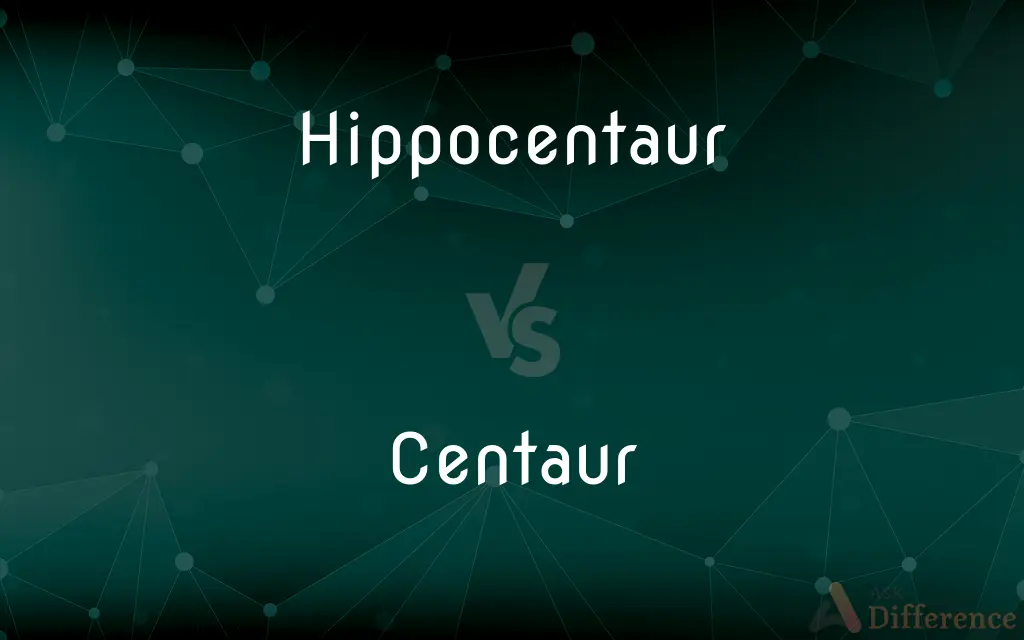 Hippocentaur vs. Centaur — What's the Difference?