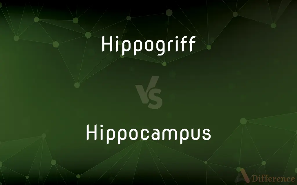 Hippogriff vs. Hippocampus — What's the Difference?