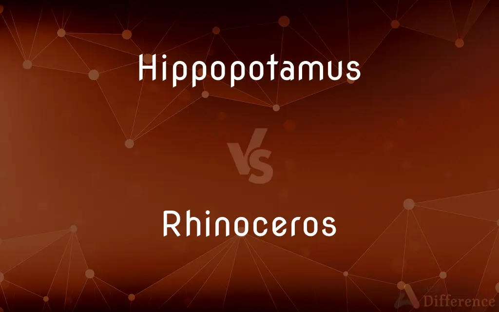 Hippopotamus vs. Rhinoceros — What's the Difference?