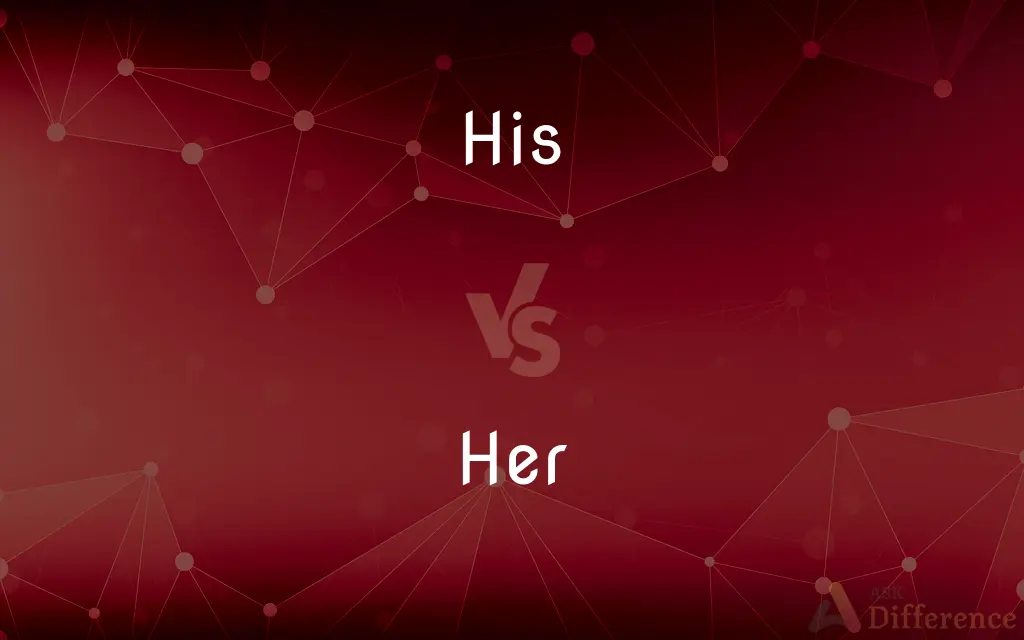 His vs. Her — What's the Difference?
