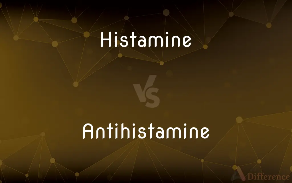 Histamine vs. Antihistamine — What's the Difference?