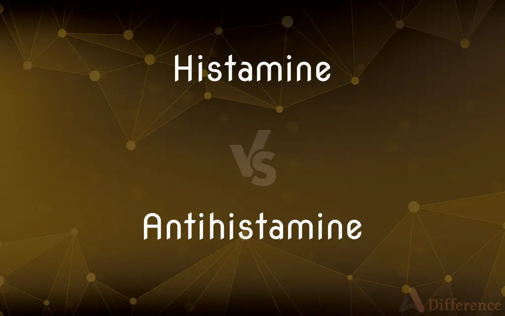 Histamine vs antihistamine what s the difference 