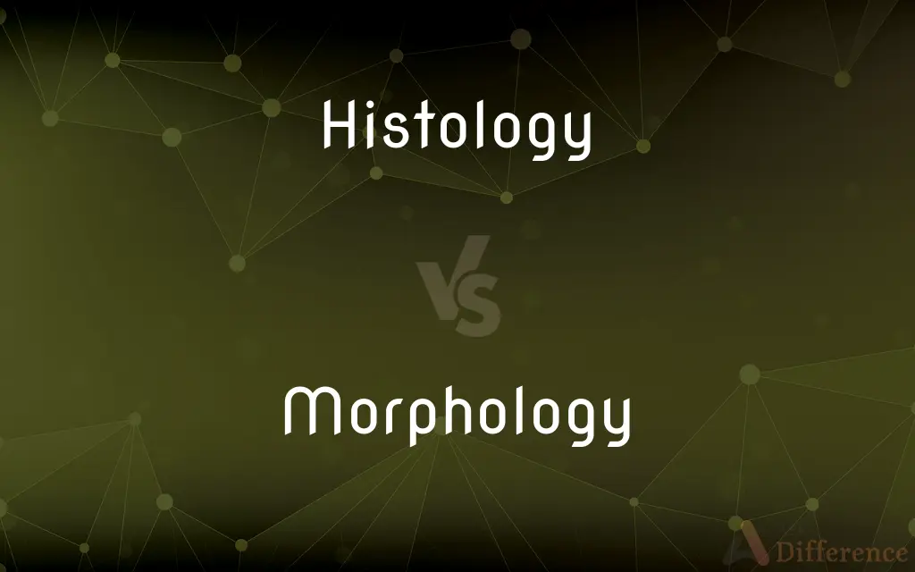 Histology vs. Morphology — What's the Difference?