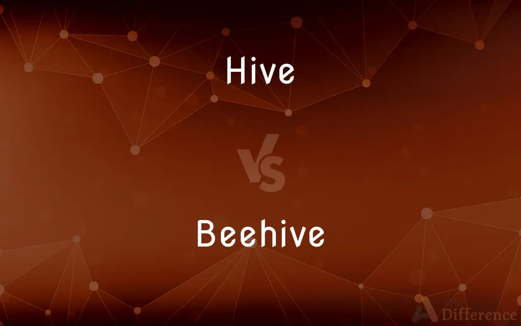 Hive vs. Beehive — What's the Difference?