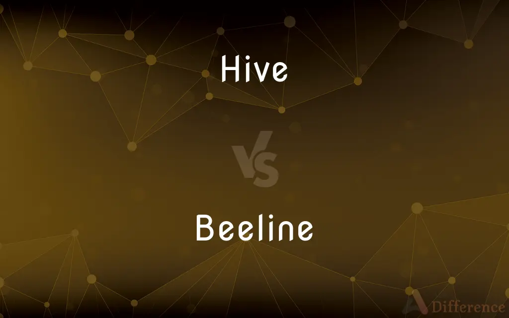 Hive vs. Beeline — What's the Difference?