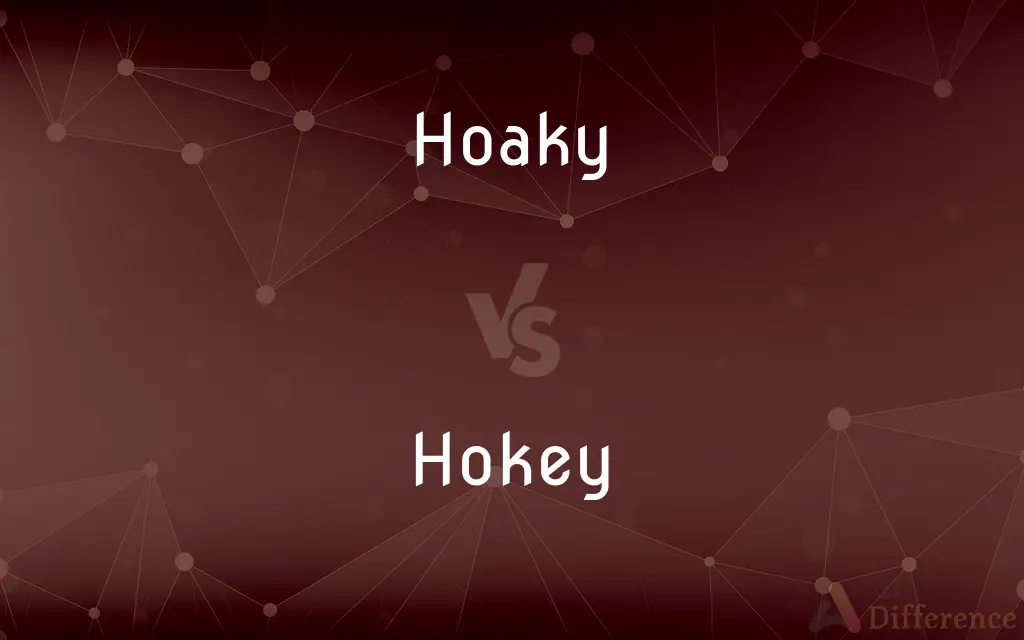 Hoaky vs. Hokey — Which is Correct Spelling?