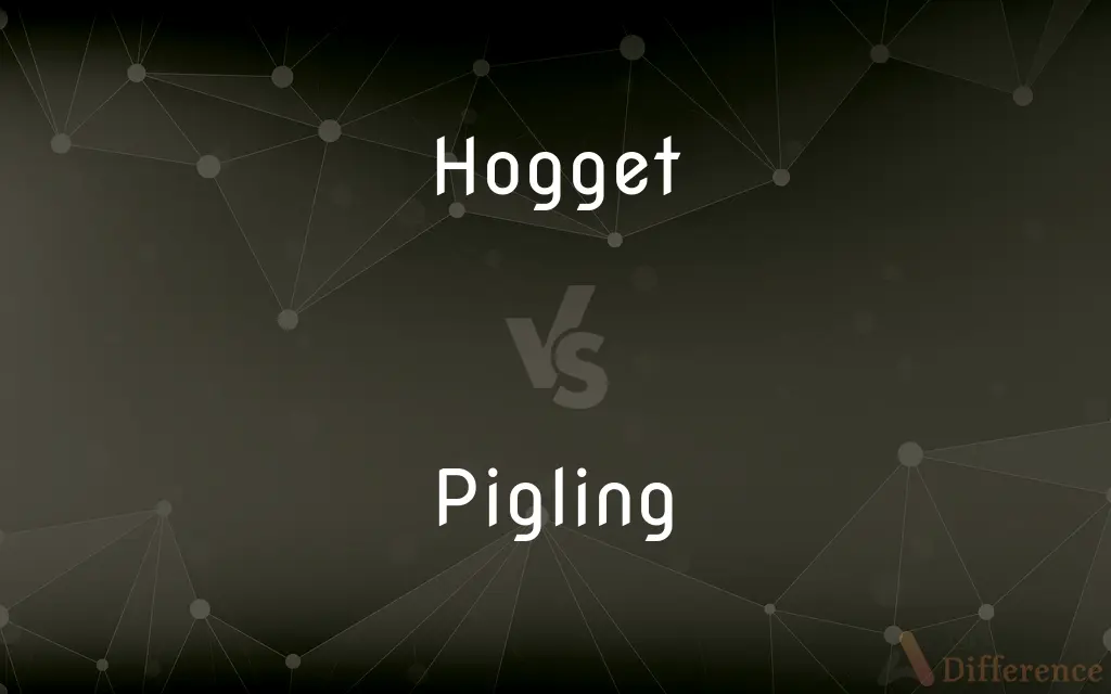 Hogget vs. Pigling — What's the Difference?