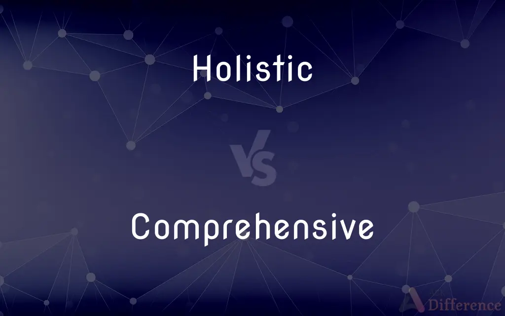 Holistic vs. Comprehensive — What's the Difference?
