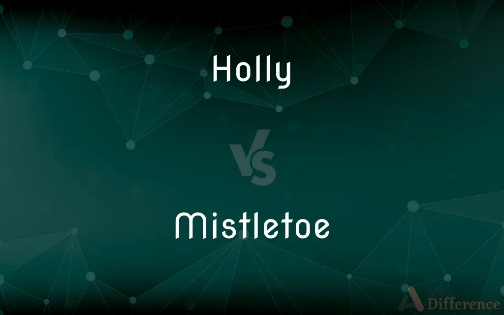 Holly vs. Mistletoe — What's the Difference?