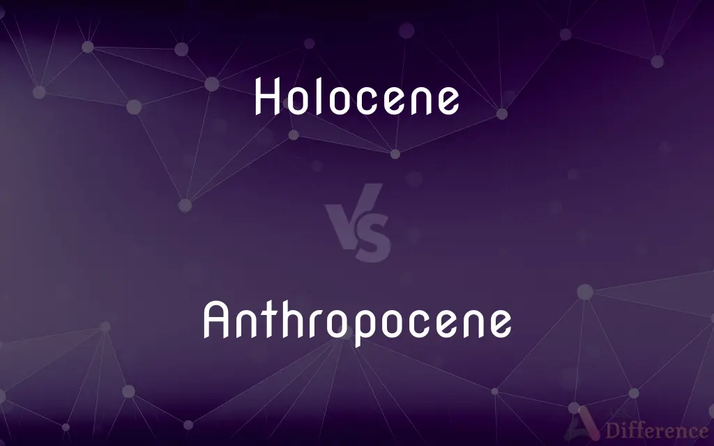 Holocene vs. Anthropocene — What's the Difference?