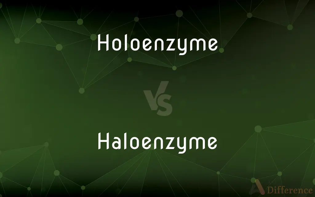 Holoenzyme vs. Haloenzyme — Which is Correct Spelling?