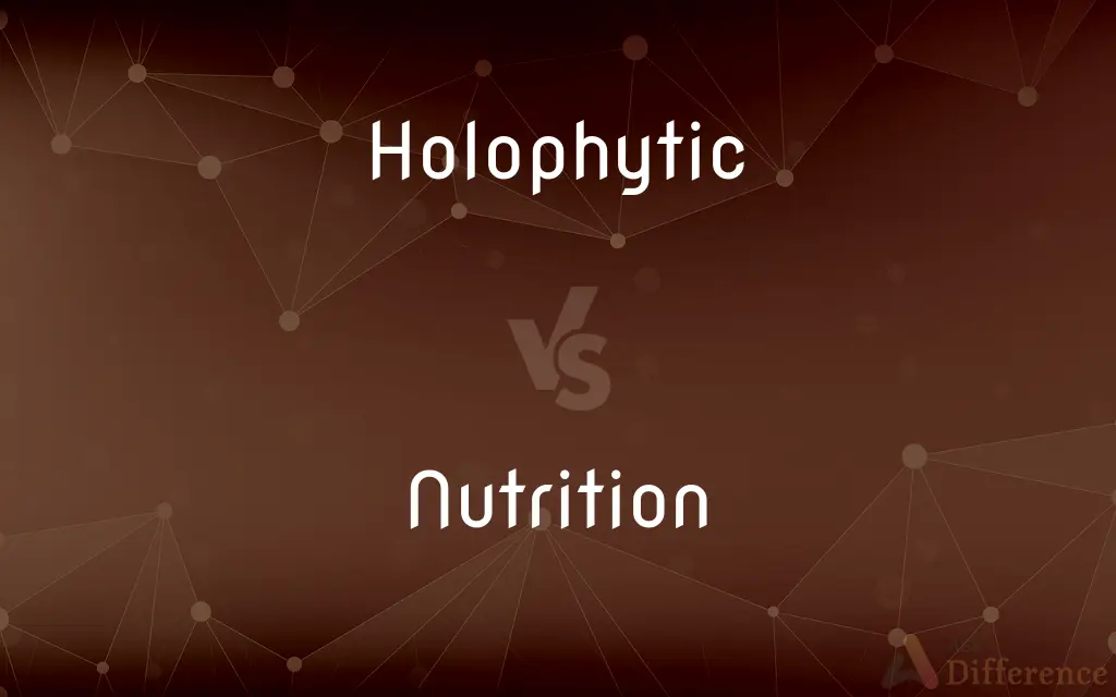 Holophytic vs. Nutrition — What's the Difference?