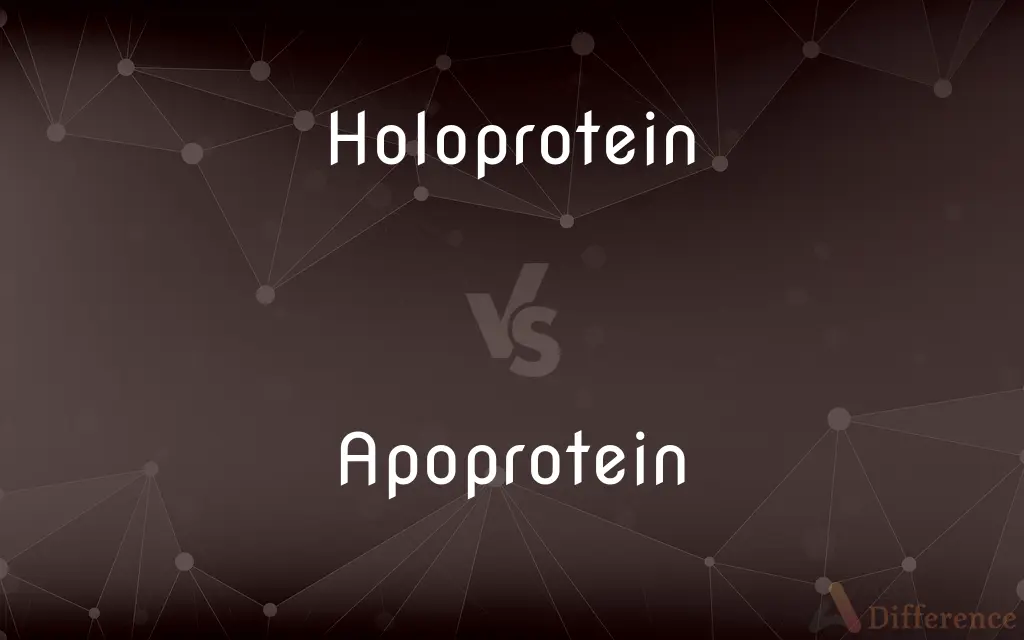 Holoprotein vs. Apoprotein — What's the Difference?