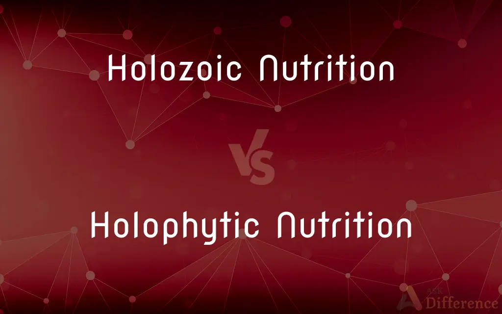 Holozoic Nutrition vs. Holophytic Nutrition — What's the Difference?