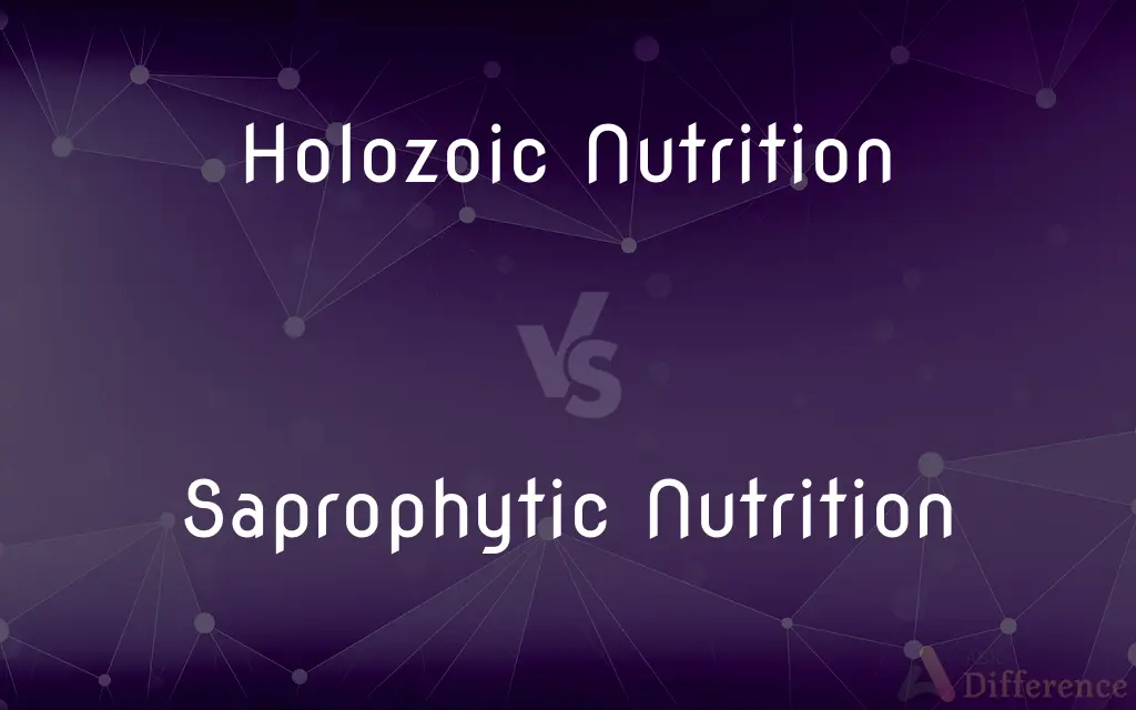 Holozoic Nutrition vs. Saprophytic Nutrition — What's the Difference?