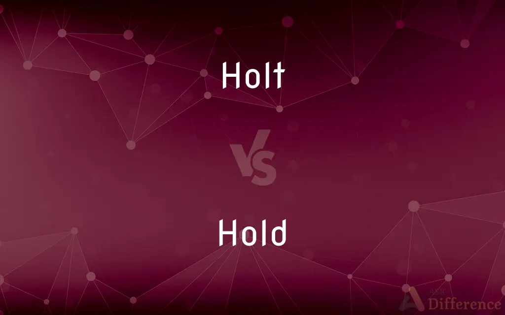 Holt vs. Hold — What's the Difference?