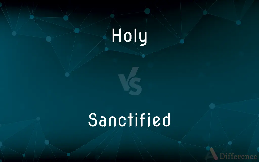 Holy vs. Sanctified — What's the Difference?