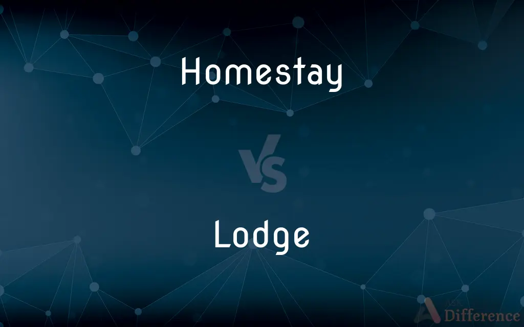 Homestay vs. Lodge — What's the Difference?