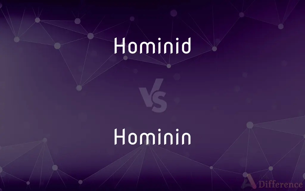 Hominid vs. Hominin — What's the Difference?