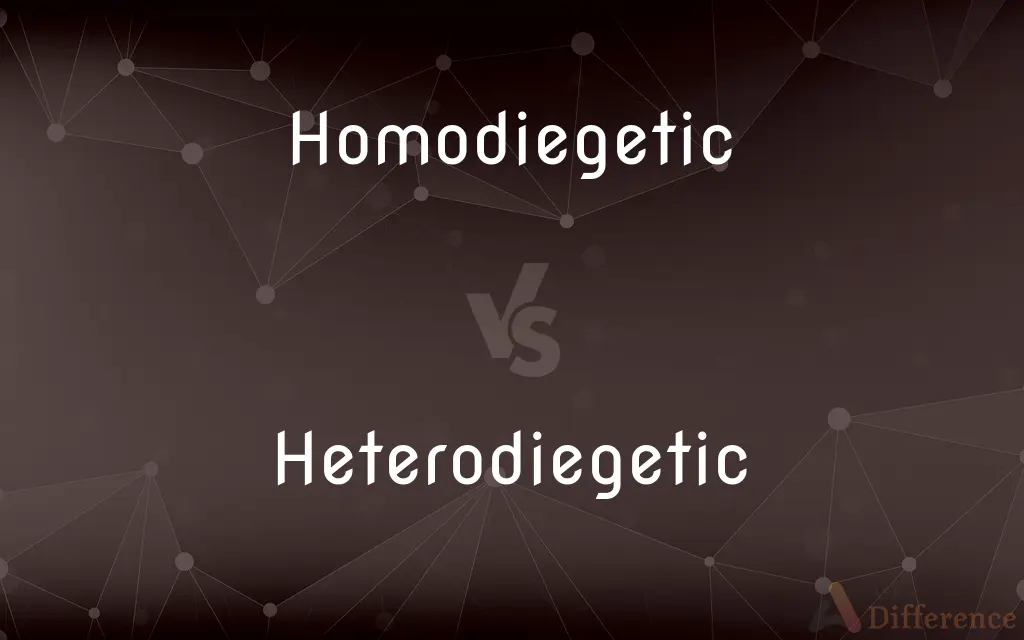 Homodiegetic vs. Heterodiegetic — What's the Difference?