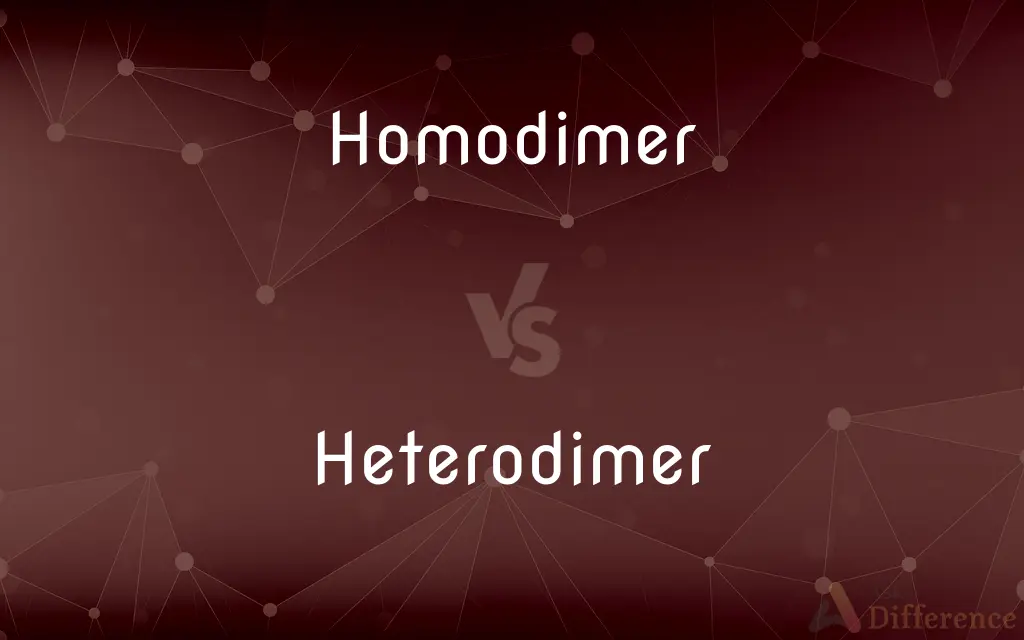 Homodimer vs. Heterodimer — What's the Difference?