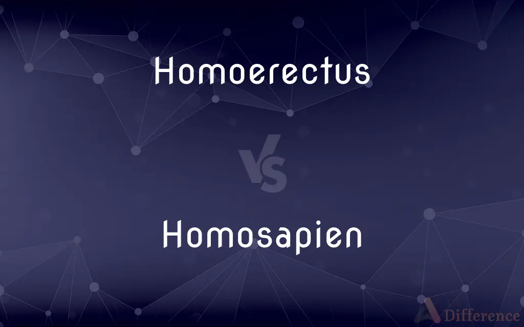 Homoerectus vs. Homosapien — What's the Difference?