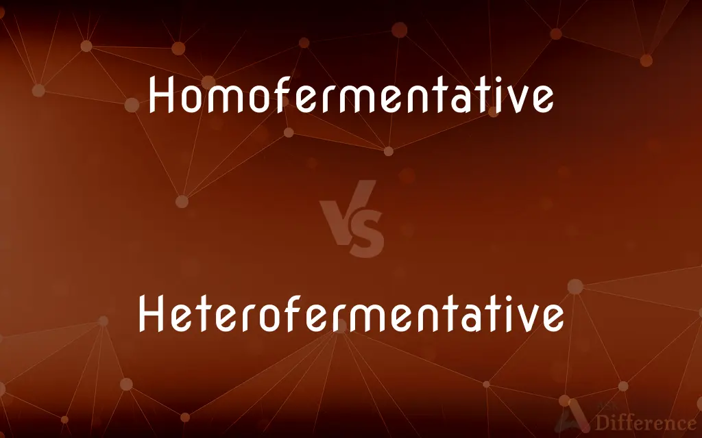 Homofermentative vs. Heterofermentative — What's the Difference?