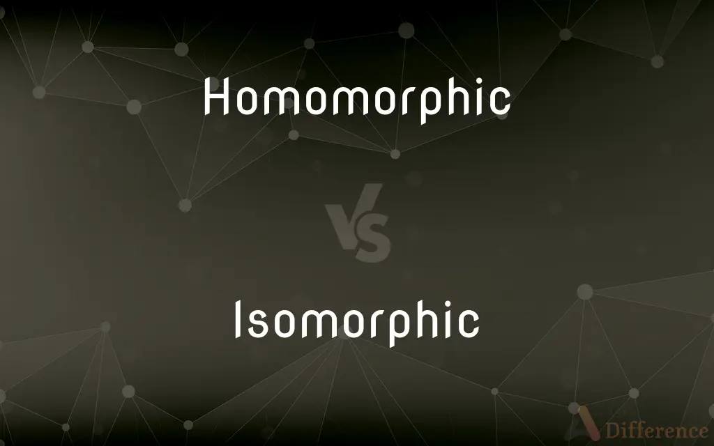 Homomorphic vs. Isomorphic — What's the Difference?