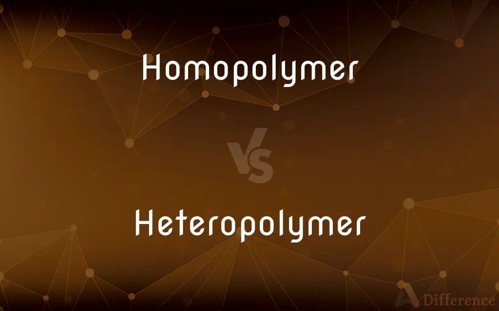 Homopolymer vs. Heteropolymer — What's the Difference?
