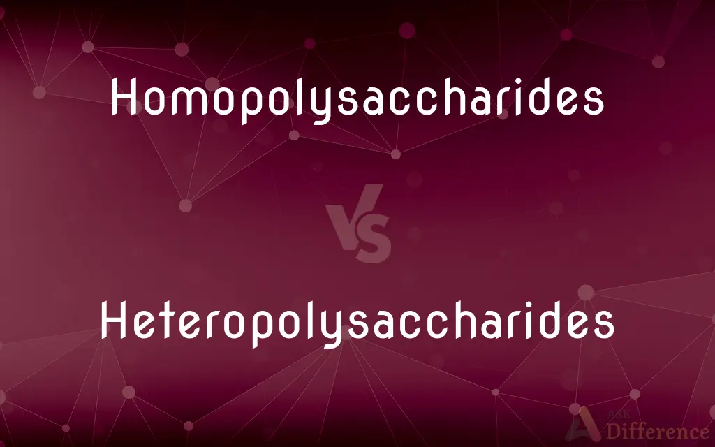 Homopolysaccharides vs. Heteropolysaccharides — What's the Difference?