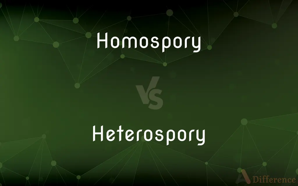 Homospory vs. Heterospory — What's the Difference?
