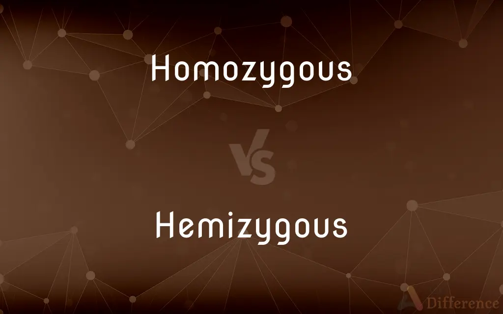 Homozygous vs. Hemizygous — What's the Difference?