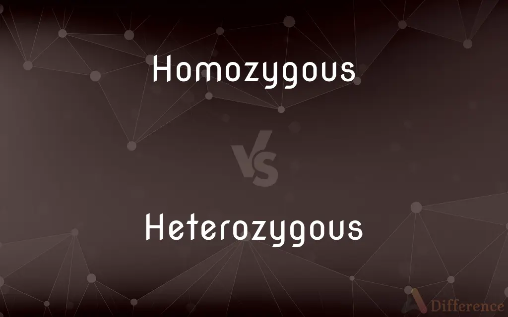 Homozygous vs. Heterozygous — What's the Difference?