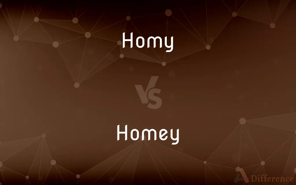 Homy vs. Homey — Which is Correct Spelling?