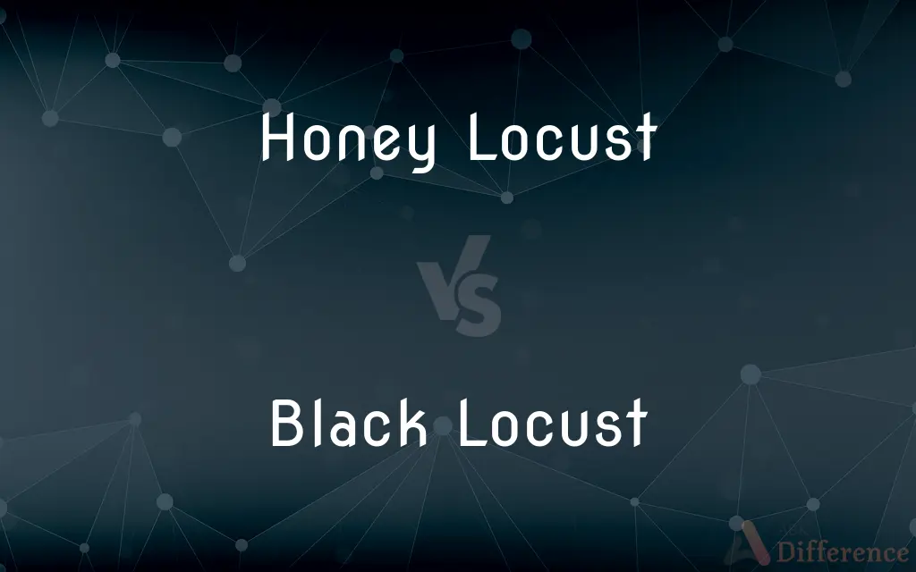 Honey Locust vs. Black Locust — What's the Difference?