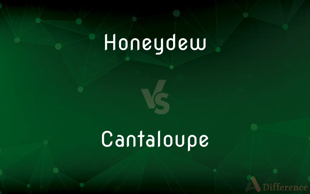 Honeydew vs. Cantaloupe — What's the Difference?